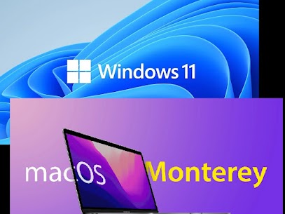 Windows and Mac Operating System installations and repair